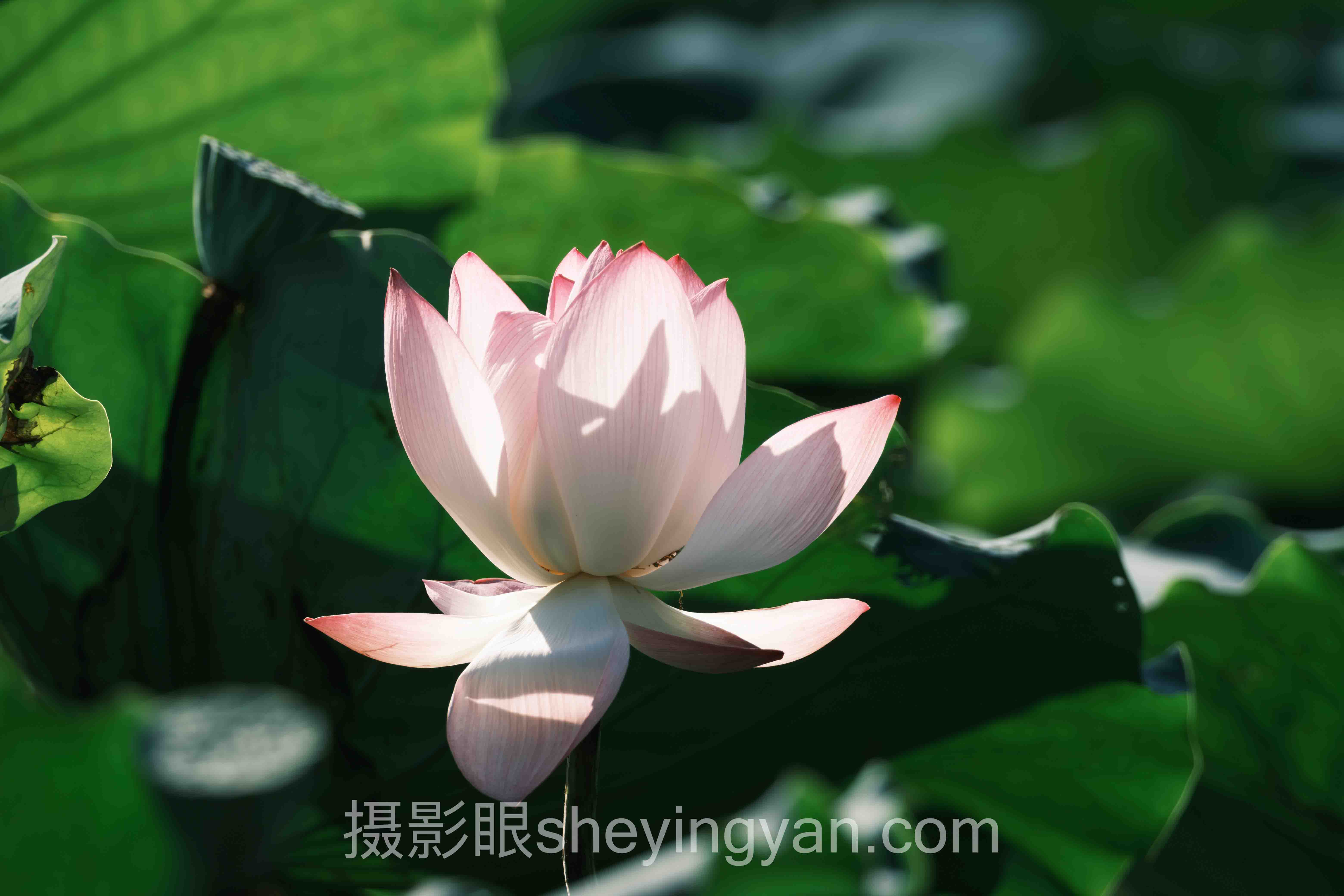 摄影后期风格十人谈：摄影点评视角下的专家核心观点汇总