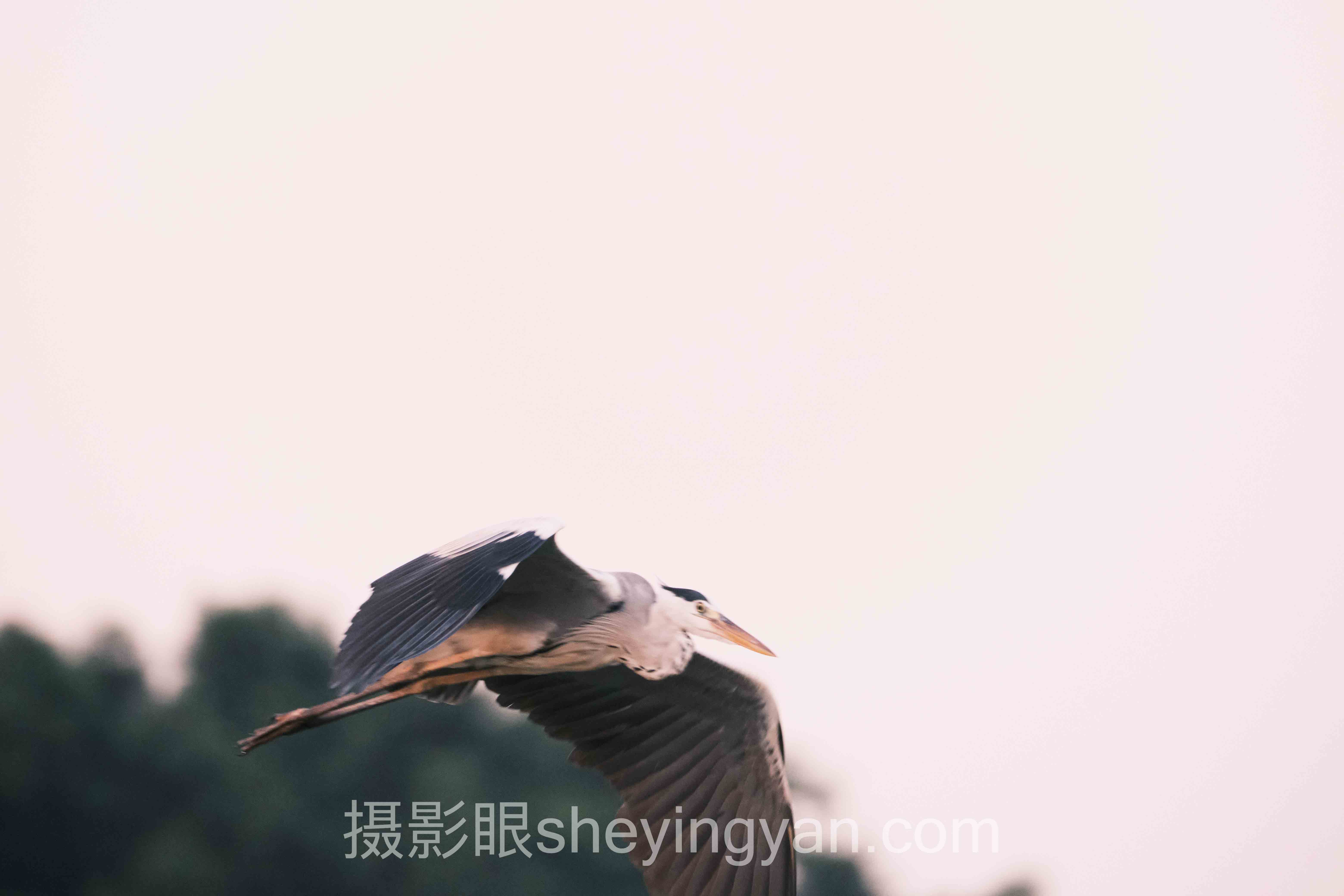 摄影后期修图接单十人谈：多位专家的核心观点汇总