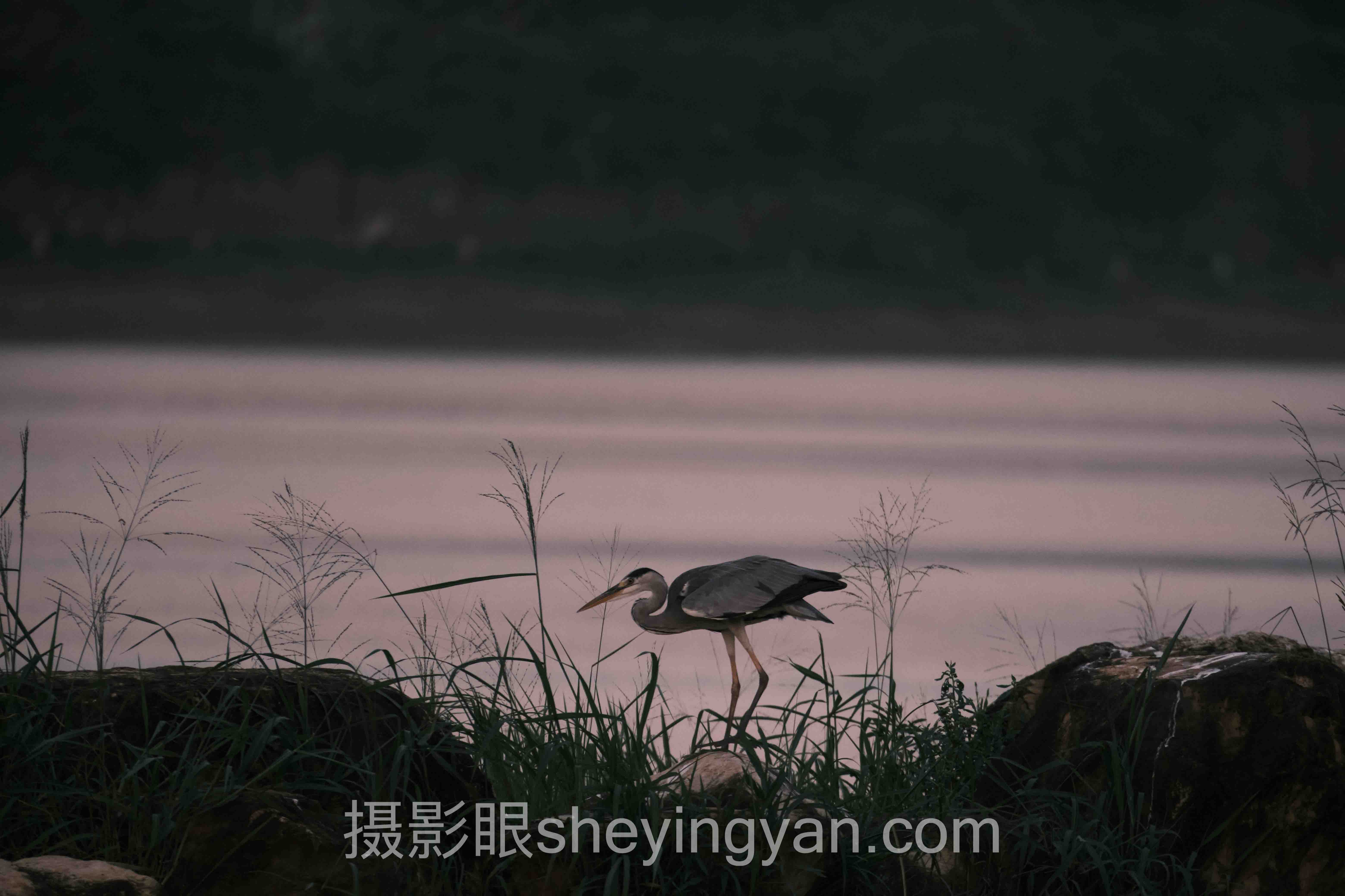 手机摄影眼训练官网全问答：你想知道的都在这里