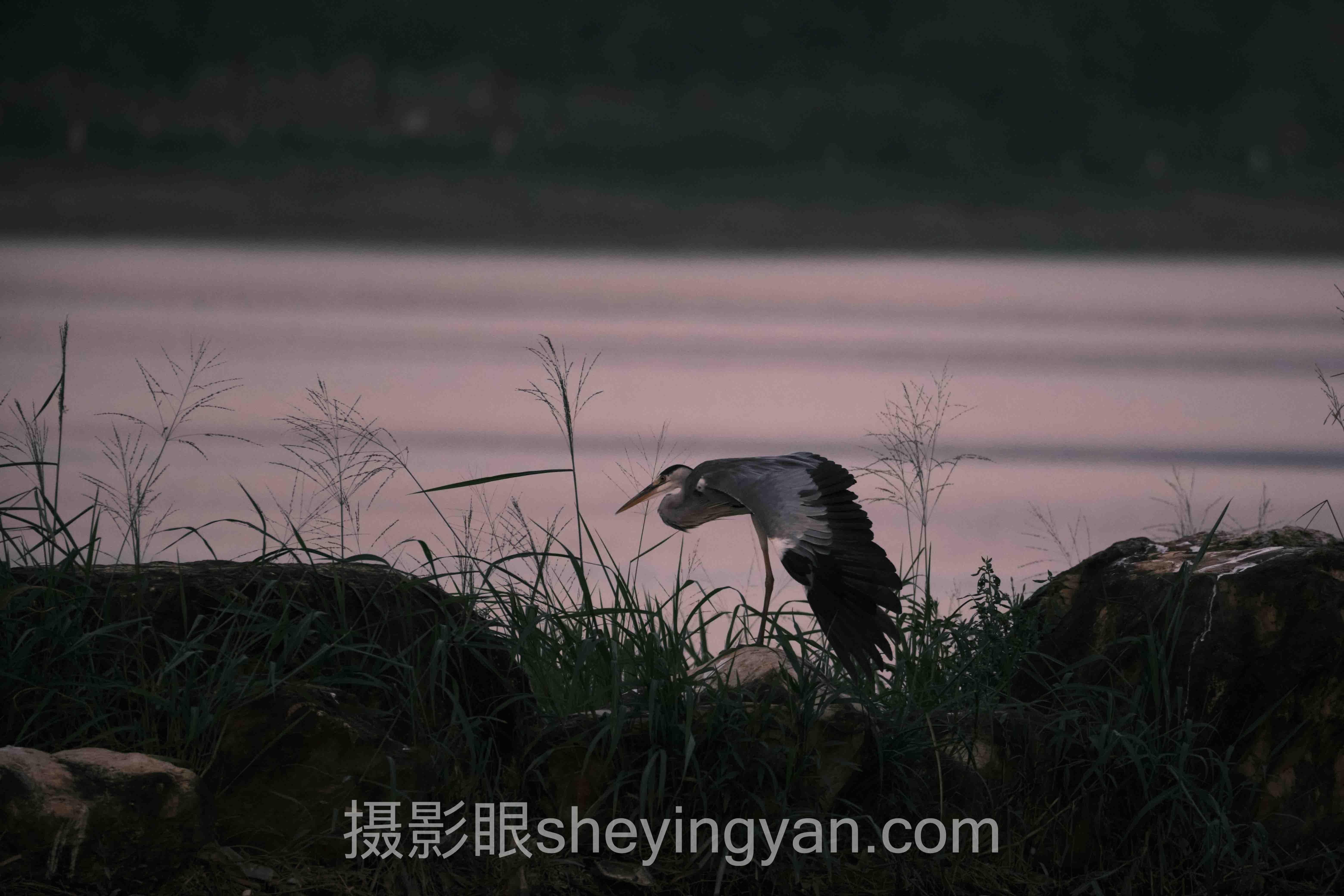 深度解析：怎么找到摄影眼官方平台的核心问题与答案