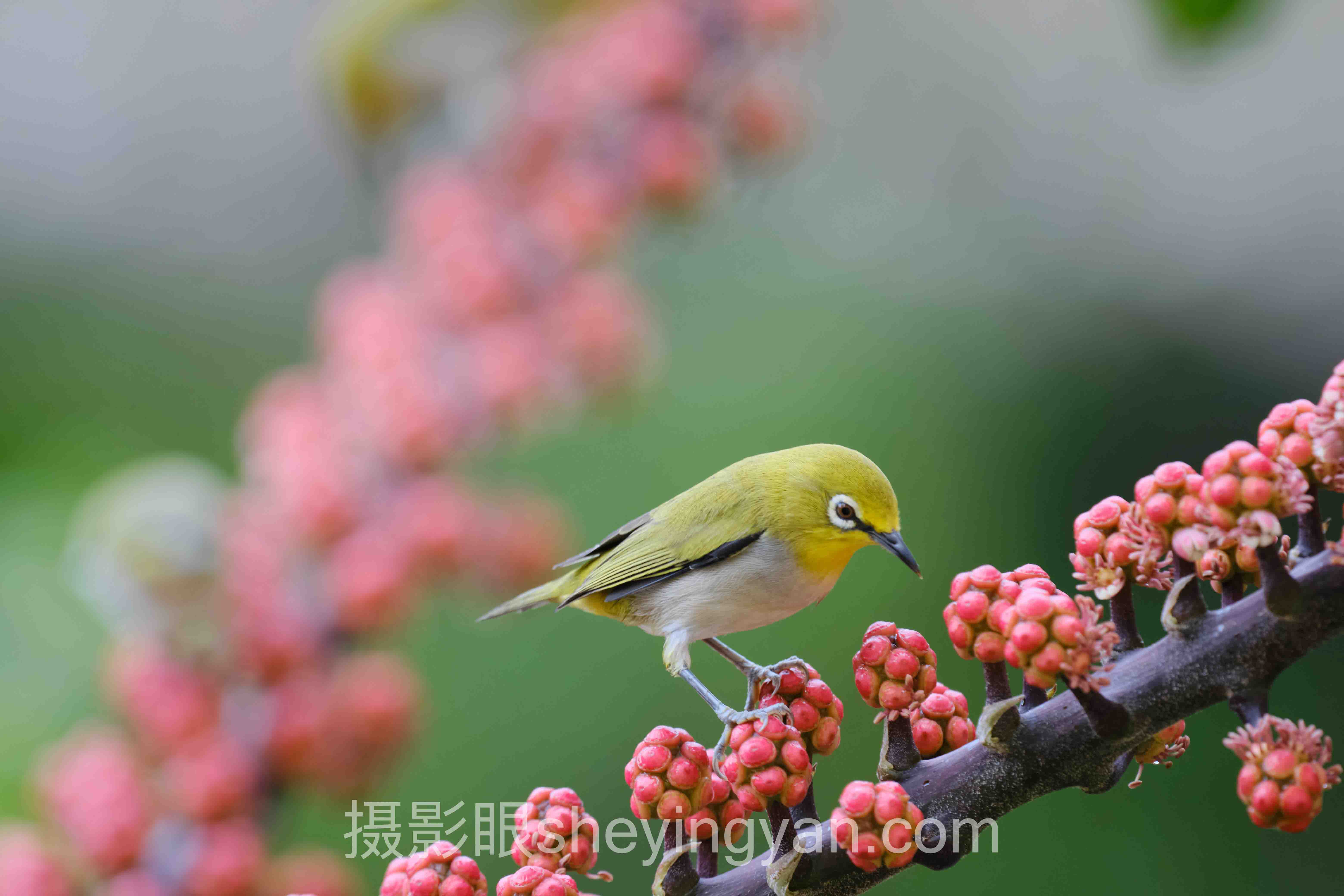 对话行业专家：摄影点评如何破解“照片拍不出感觉”的困局