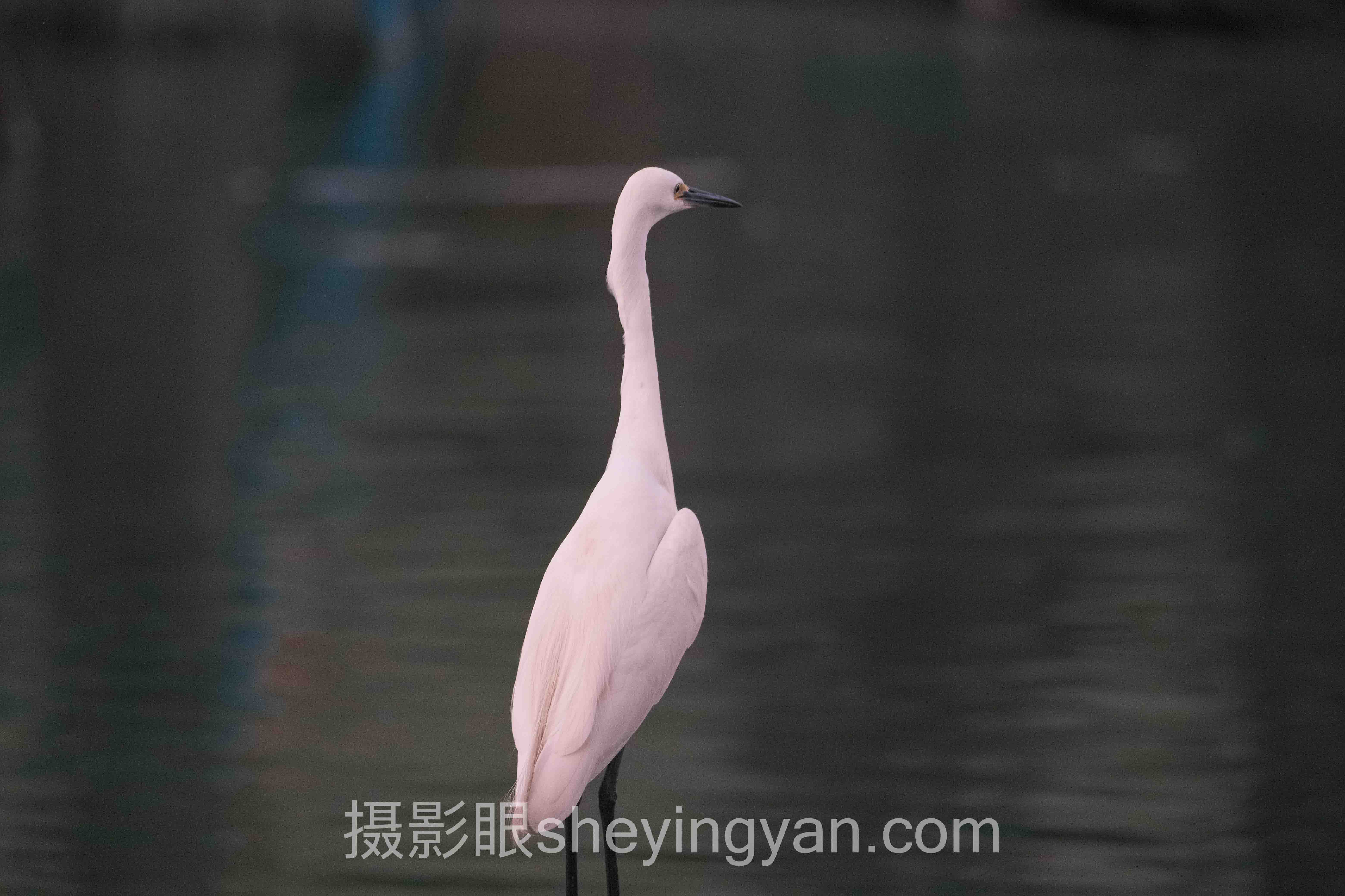 关于摄影新手每天练什么的5个关键问题，一次说清