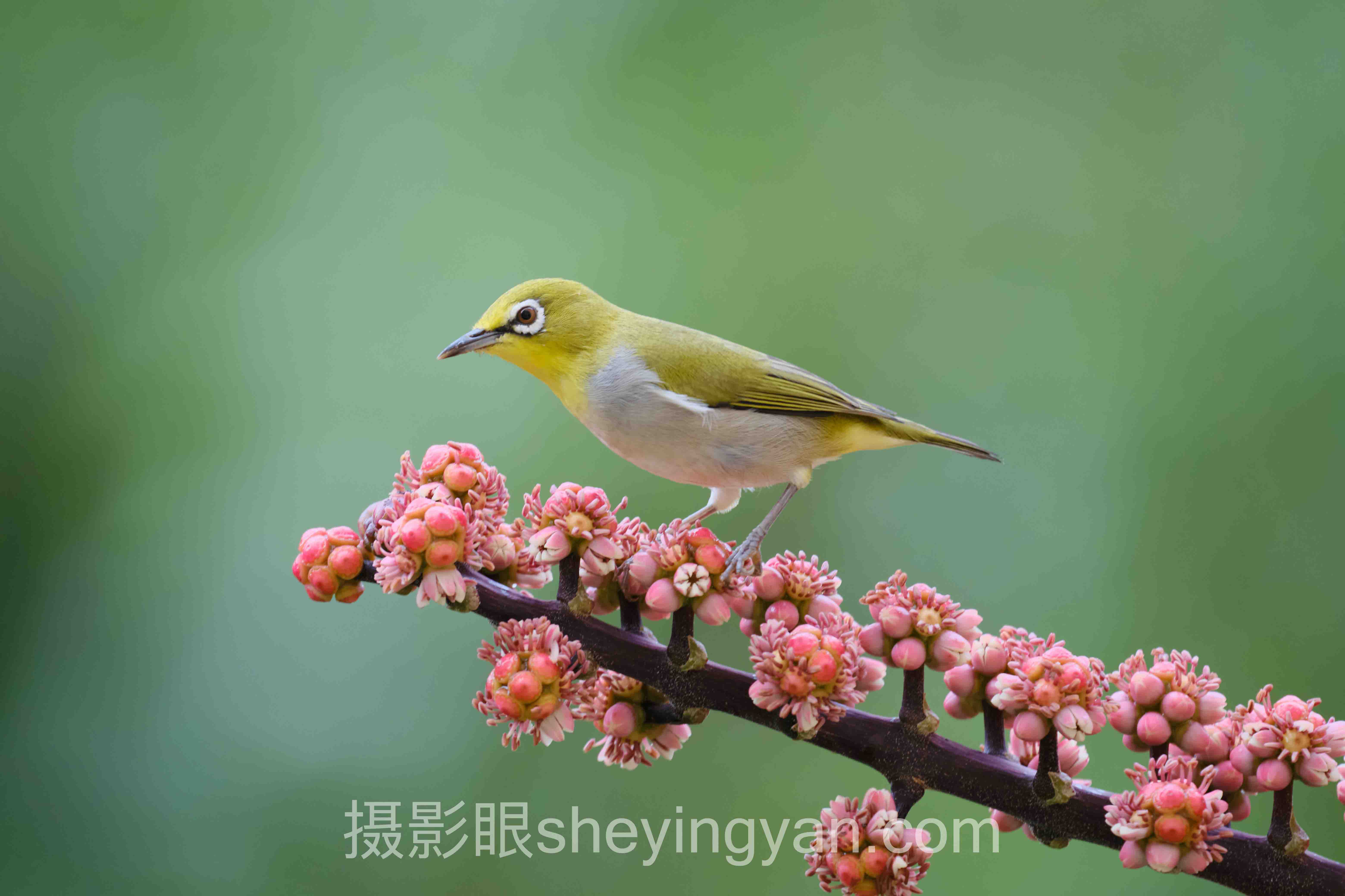 零基础学摄影从哪开始全景解读：问题根源与破局之道