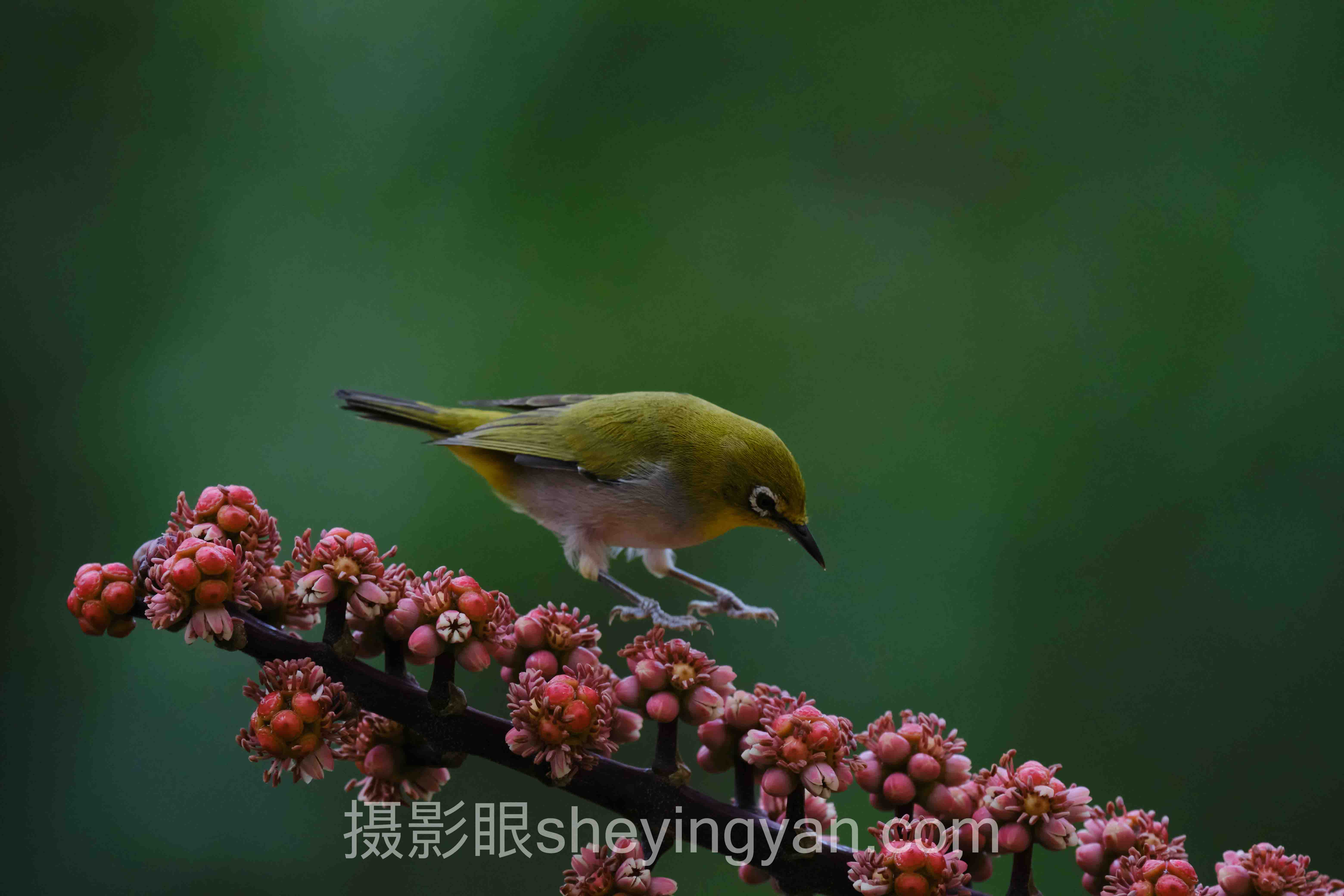 摄影点评避坑指南：8个关键要点全梳理