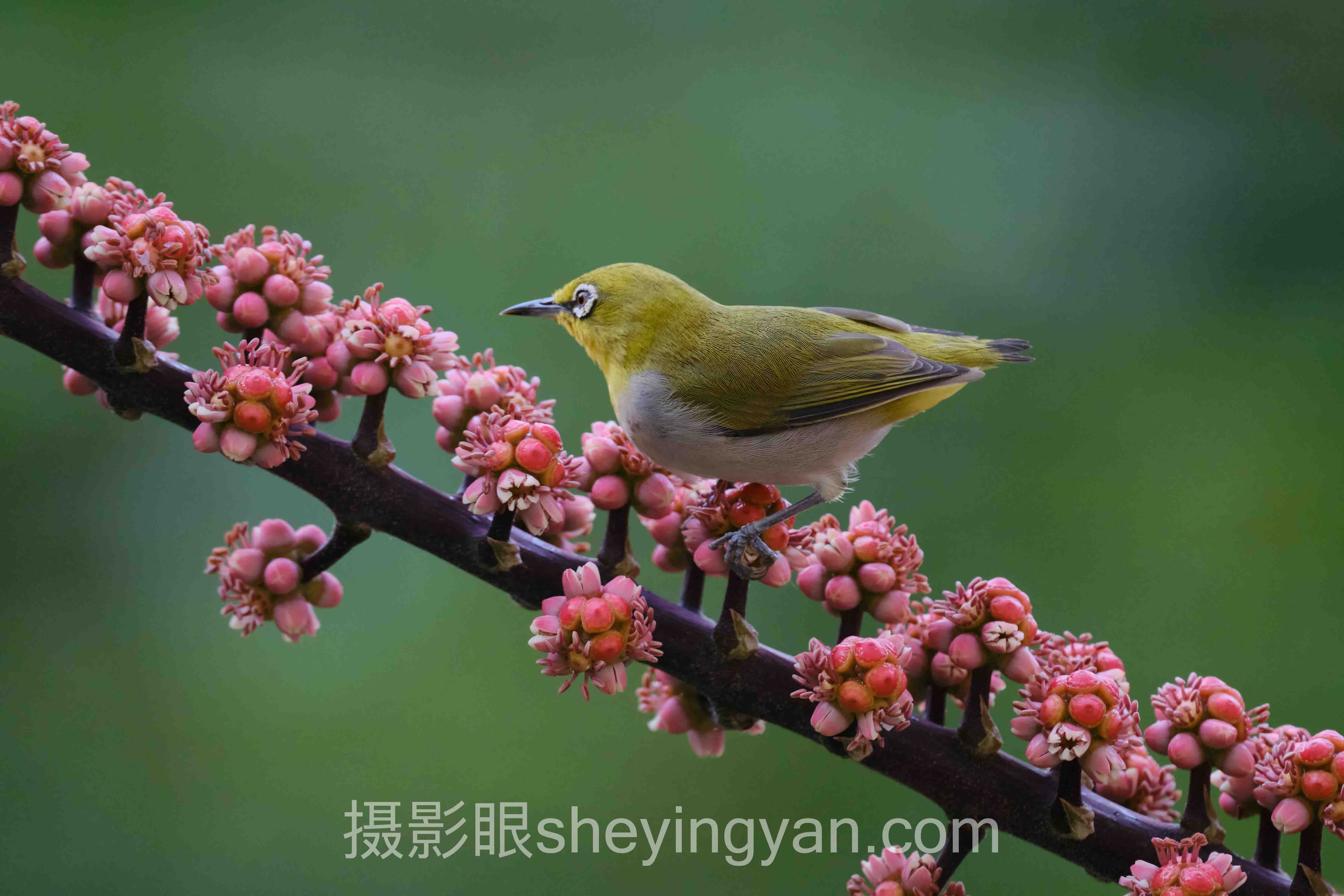 个人摄影风格培养十人谈：多位专家的核心观点汇总